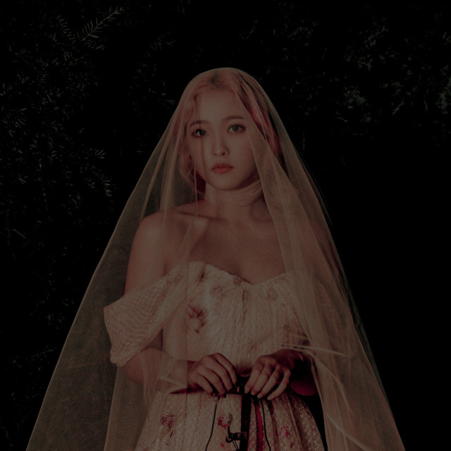 kim yerim, ★★★★★