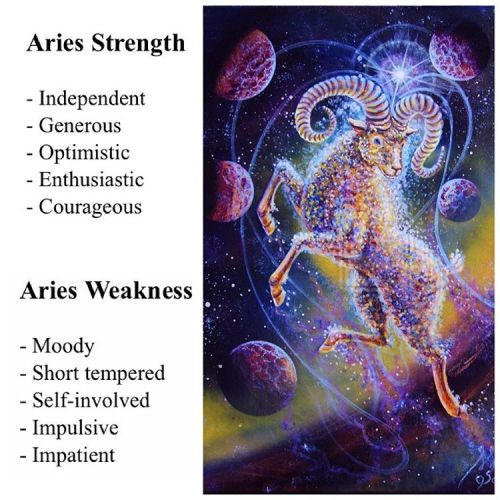 elkestallion:It’s #Aries season!!!!!!!!!! …yep, that sums it...