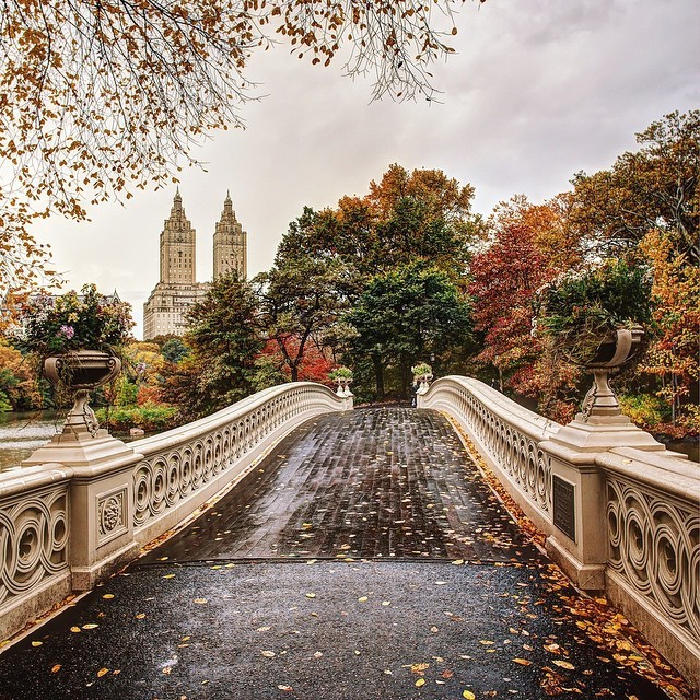 Bow Bridge, Central Park by godsavethegold #nyc