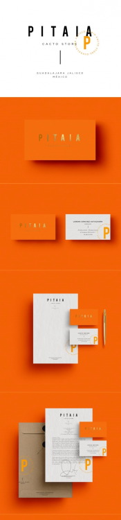 branddesignclub:Pitaia Branding by Malarte Studio –...