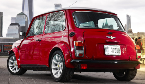 Mini Electric Tumblr