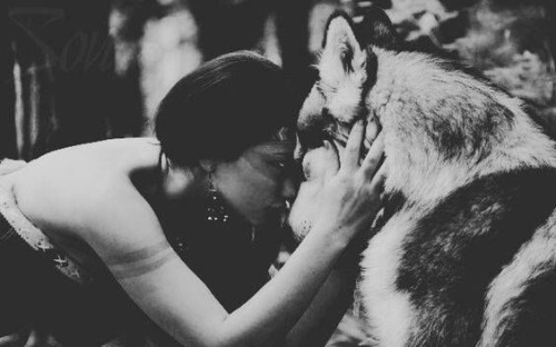 gingersnaplips:My wolf 