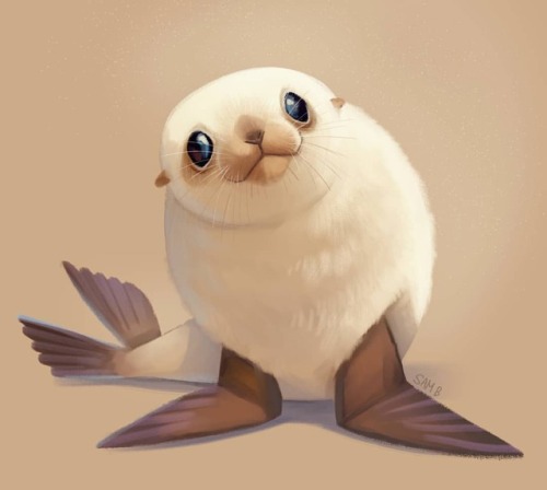 A baby sea lion for painting practice tonight. I don’t...