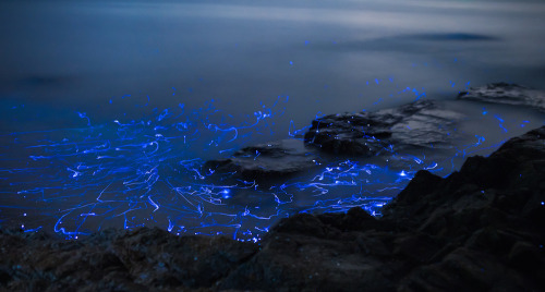 archatlas:The Weeping StonesPhotographed off the coast of...