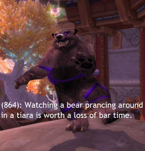 Tumblr dancing bear Tumblr dancing bear