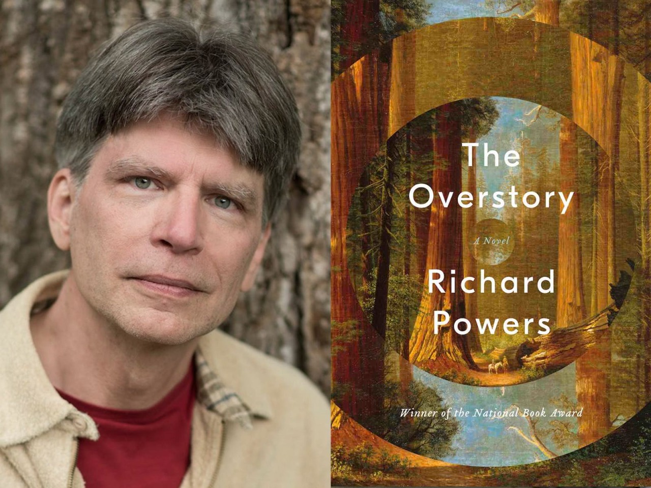 richard powers the overstory