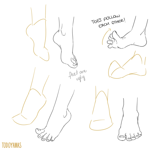 Anatomy Tutorial Tumblr