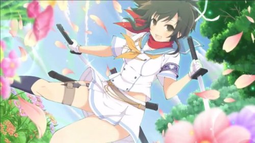 homura-the-fire-shinobi:Senran Kagura New Link leaders