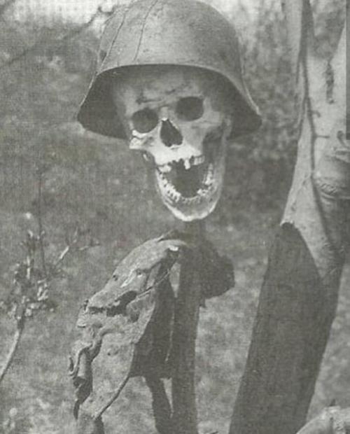 historicaltimes:The skull of a dead German soldier presented...