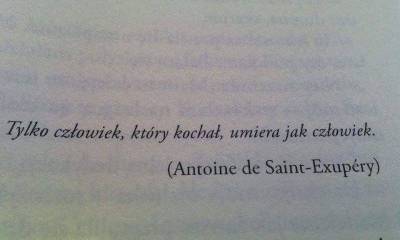 Mały Książe Cytaty Tumblr