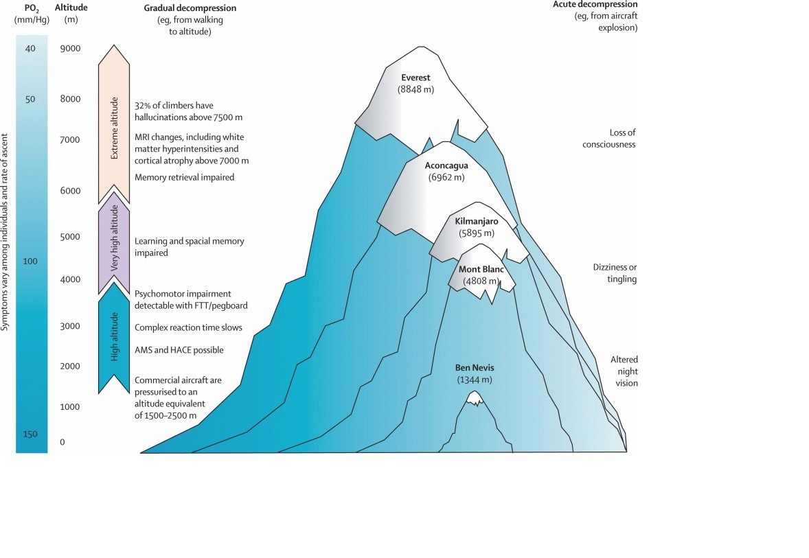 Mount Everest Diagram   Tumblr Nhr2k5T34y1u6dcvdo1 1280 