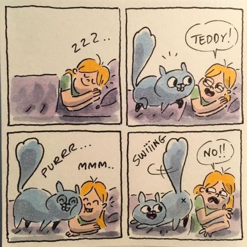 catsbeaversandducks