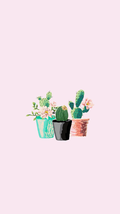cactus wallpaper | Tumblr