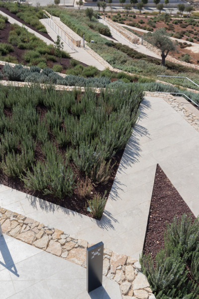 archatlas:<br />Palestinian Museum in Birzeit<br />The landscape of the Palestinian Museum by Heneghan Peng has the ‘worked’ quality of a city; every element of it has been touched and tells a story of intervention, production, culture, environment, commerce. Like a city, the terraced landscape has embedded within it its history. The approach to the Palestinian Museum is to draw on this history of the terraced landscape, embedding the museum into its immediate site and drawing from this site to tell a larger story of a diverse culture.<br />The cascade of terraces tells a diversity of stories, citrus brought in through trade routes, native aromatic herbs, a rich and varied landscape with connections east and west. The building itself emerges from the landscape to create a strong profile for the hilltop both integrated into the landscape yet creating an assertive form that has a distinctive identity.<br /><br /><br />Follow the Source Link for images sources and more information. <br /><br /><br />