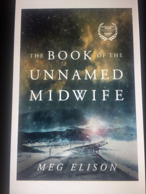 the unnamed midwife trilogy