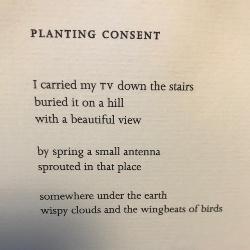 “Planting Consent” from my _The Porcupinity of the Stars-“_...