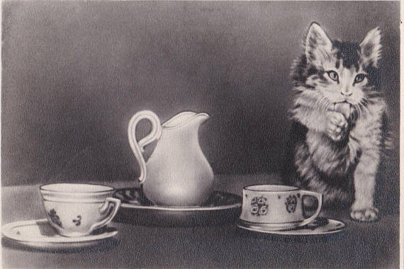 Kitten drinking tea, 1957 (buy here)