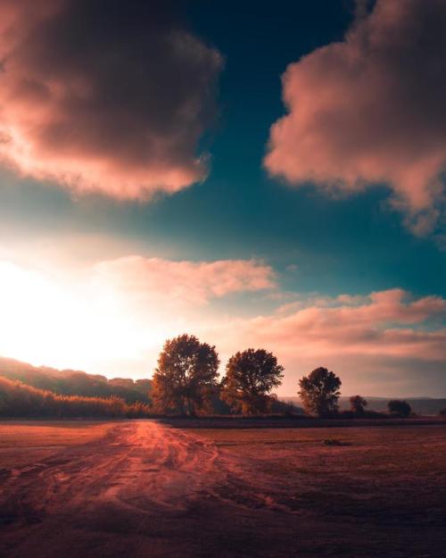 naturesnice