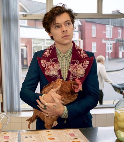 What about this latest editorial with Harry Styles for Gucci?...