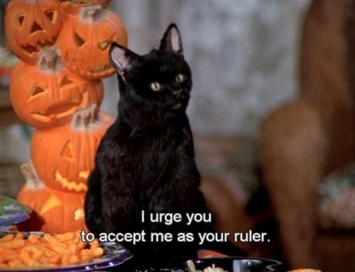 flexibilitas-cerea:Salem Saberhagen, everyone.