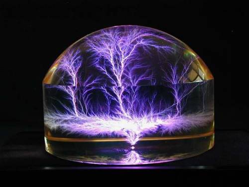 endocathexis:Captured Lightning Sculptures