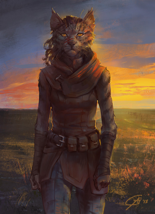 tabaxi oc | Tumblr