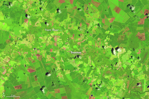 wigmund:From NASA Earth Observatory Image of the Day;...