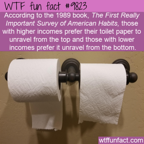 Fact Of The Day-Sunday May 26th 2019 Tumblr_ps20suXnRp1roqv59o1_500