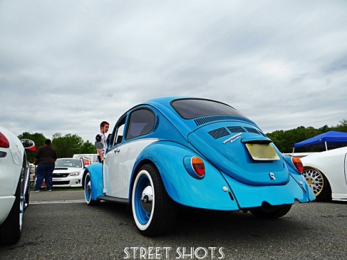 Baby Blue Bug