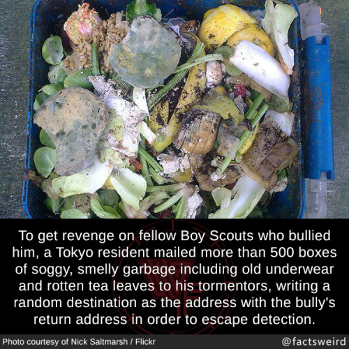 mindblowingfactz:To get revenge on fellow Boy Scouts who...