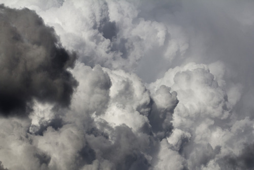 inlandwest:6 photos of a Cumulonimbus cloud over my house.