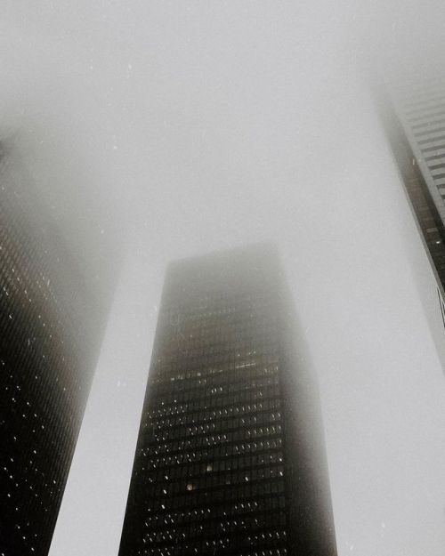 frillmag:Fog.