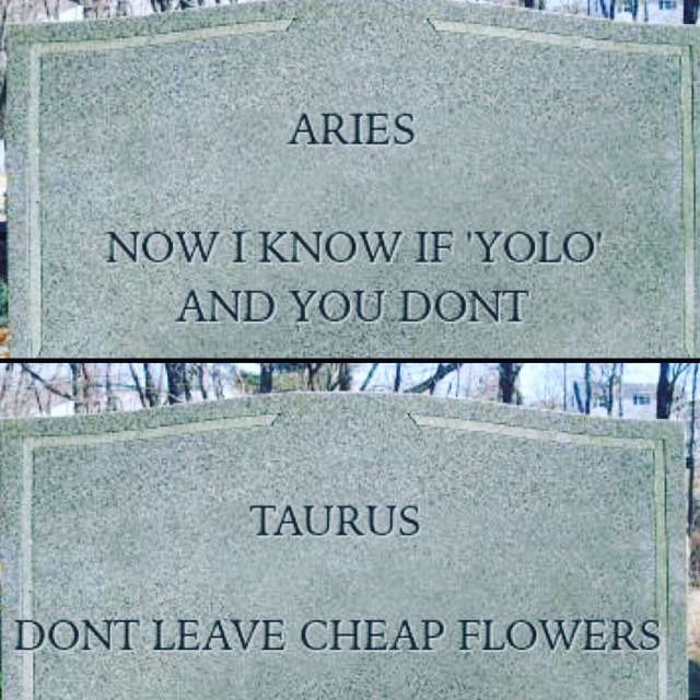 tumblr astrology memes