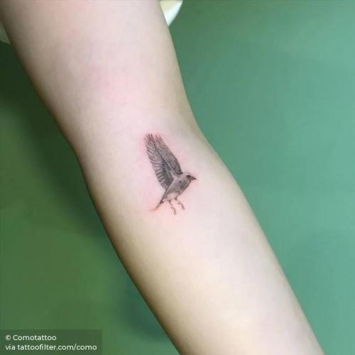 By Comotattoo, done in Seoul. http://ttoo.co/p/29189 small;single needle;animal;bird;como;facebook;twitter;inner forearm