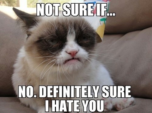the grumpy cat on Tumblr
