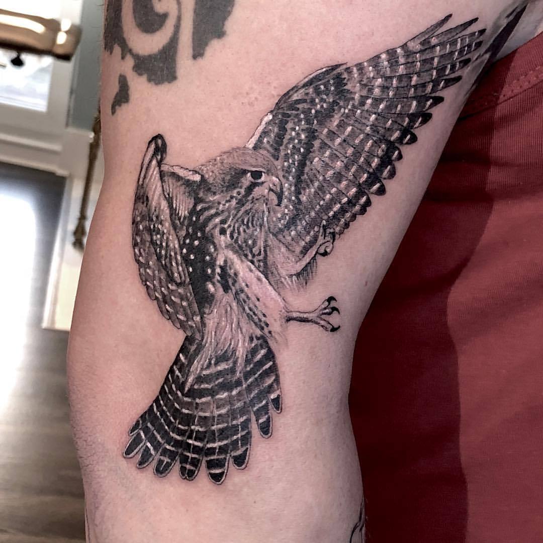 Miguel Angel Tattoo New Zealand Falcon Tattooed By
