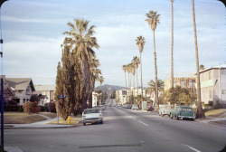 @60's cars on the street