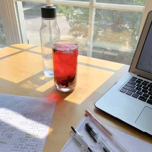 studyingdawn