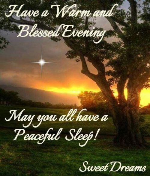 goodnightylove