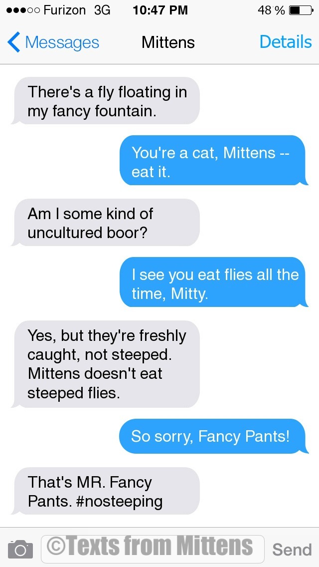 Texts from Mittens NEW Daily Mittens: The Steeped Edition More...