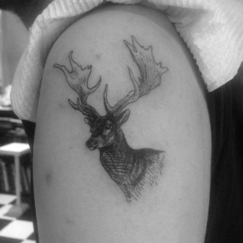 By Alexandyr Valentine, done at The Painted Lady Tattoo Studio,... deer;animal;facebook;twitter;alexandyrvalentine;medium size;illustrative;upper arm