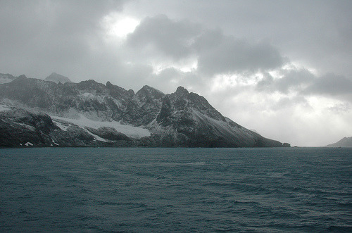 zptp:South Georgia, Drygalski fjordRita Willaert