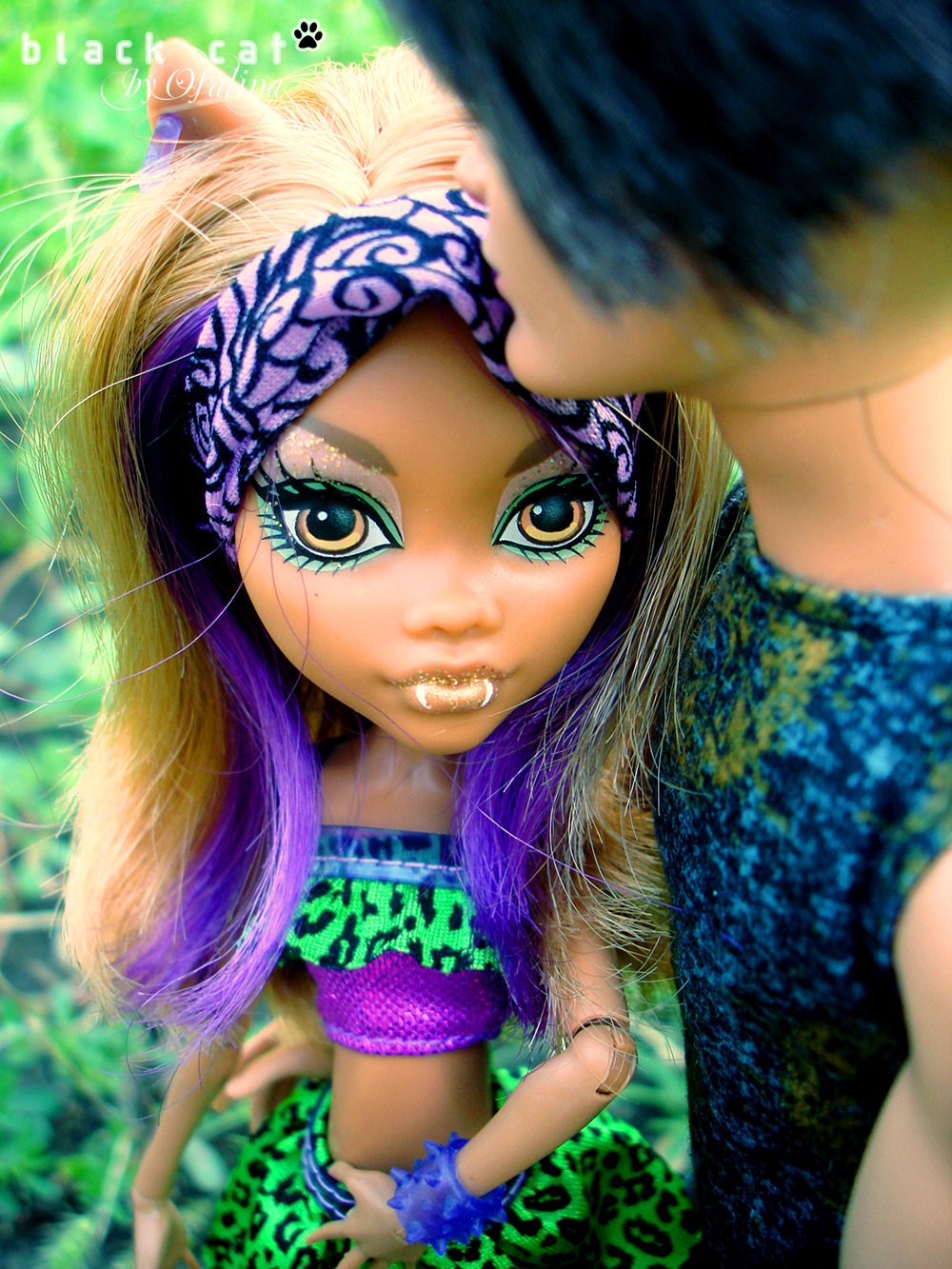 clawdeen and hunter