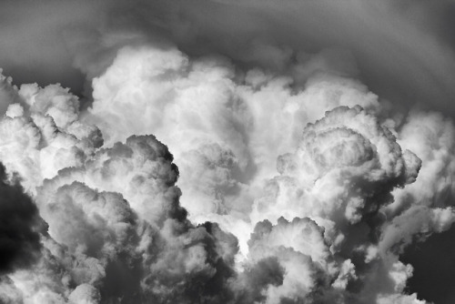 inlandwest:6 photos of a Cumulonimbus cloud over my house.