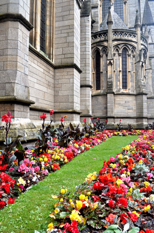 mycornishplace:Truro Cathedral