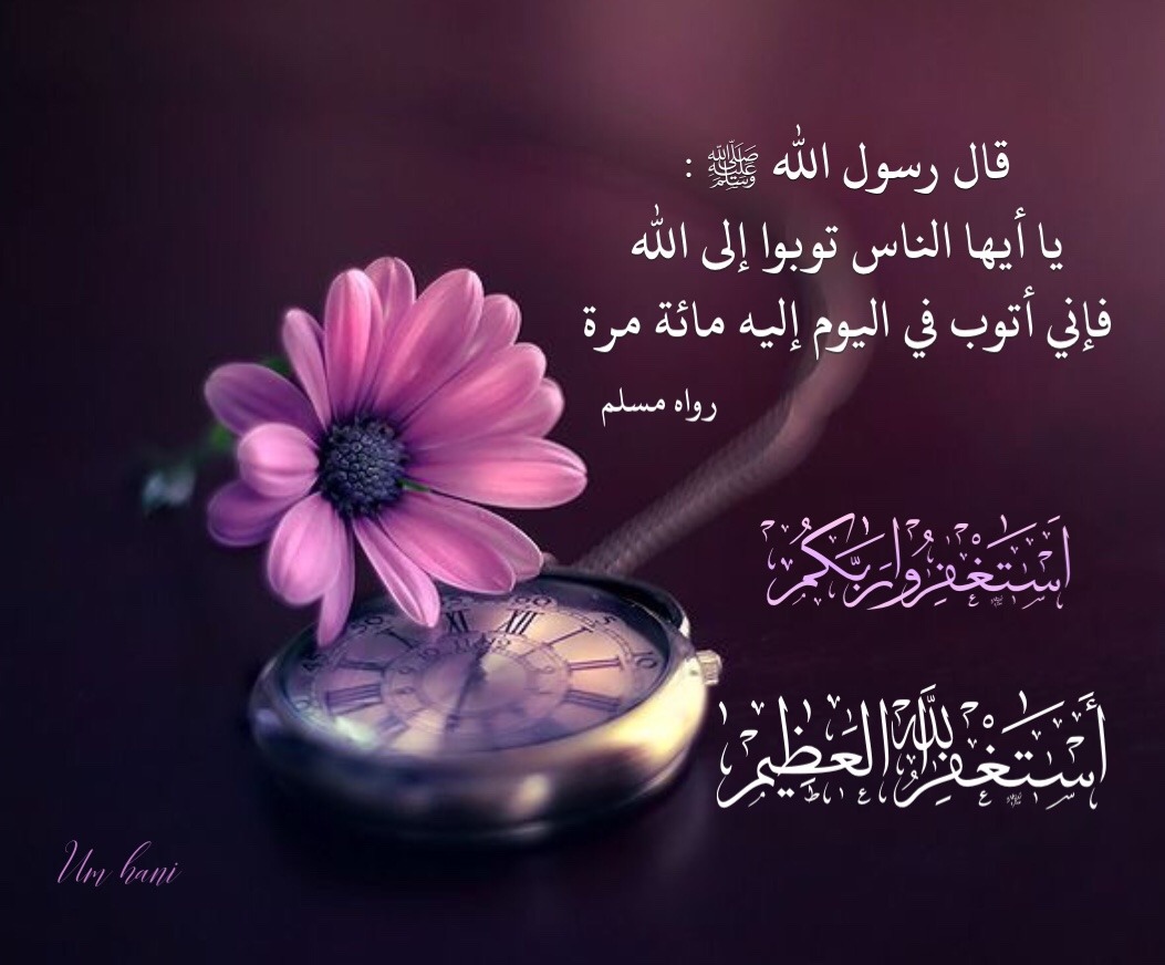 الدعاء هو العبادة ..(3) - صفحة 74 Tumblr_ph4akaX5ej1segn7h_1280