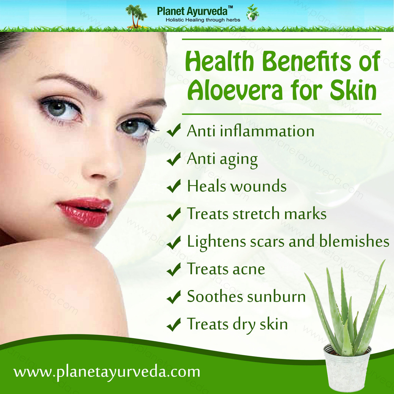 Planet Ayurveda • Health Benefits of Aloevera for Skin ...