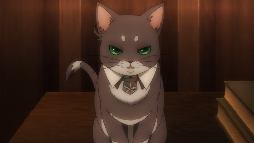 animecatoftheday