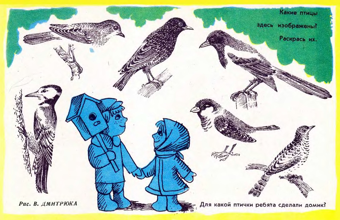 “Name all of the birds and color them.”
Illustration by V. Dmitryuk, published in Murzilka in April 1974.