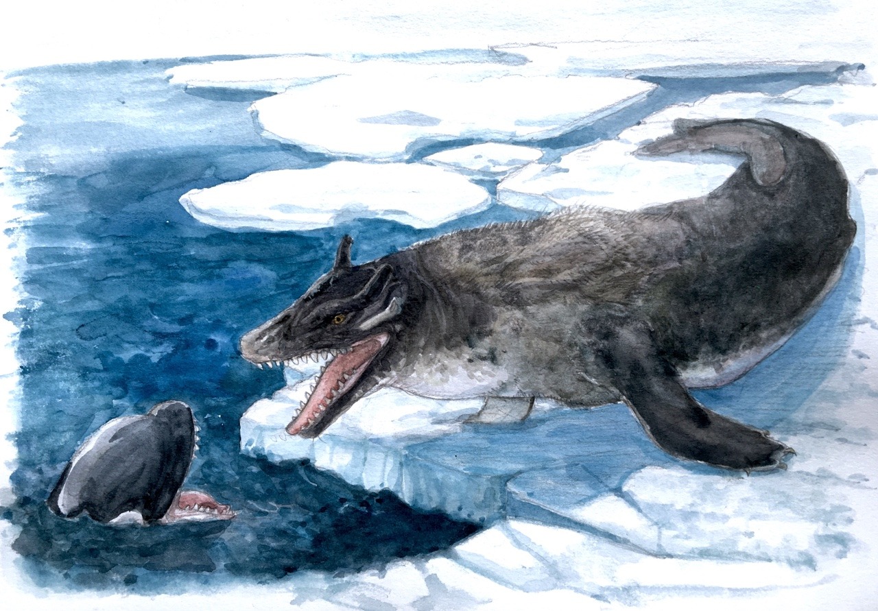 Iguanodon't — Creature profile: “Sea Wolf” This elusive cryptid...